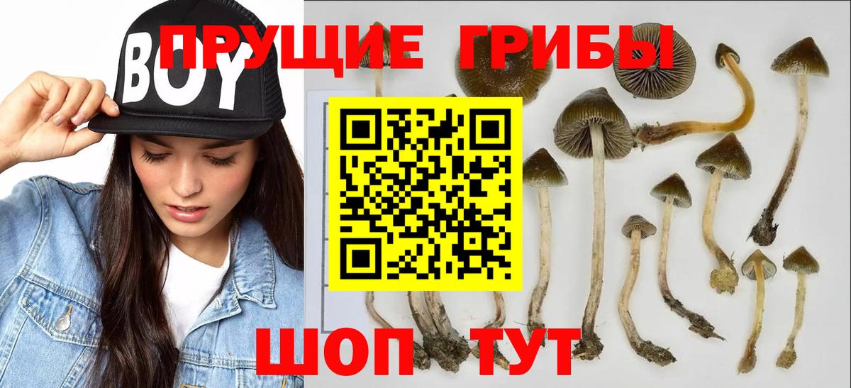 Псилоцибиновые грибы MAGIC MUSHROOMS  Псилоцибиновые грибы GOLDEN TEACHER  Вход с VPN  Обь 